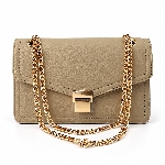 Classic Metal Chain Crossbody Bag